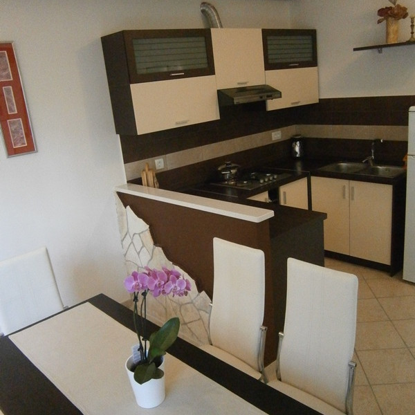 Kitchen, Apartman Laura 2, Turistička agencija Luna Adriatica, Rabac - Istra (Hrvatska) Rabac