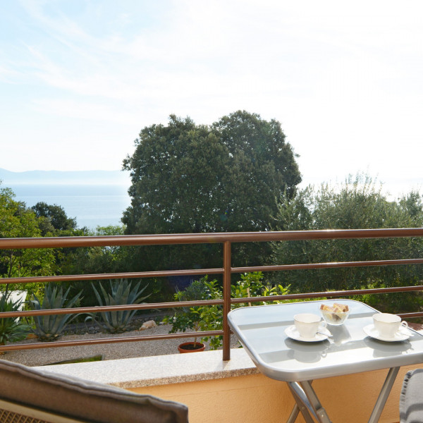 APARTMANI LAURA (RAVNI)  , Turistička agencija Luna Adriatica, Rabac - Istra (Hrvatska) Rabac