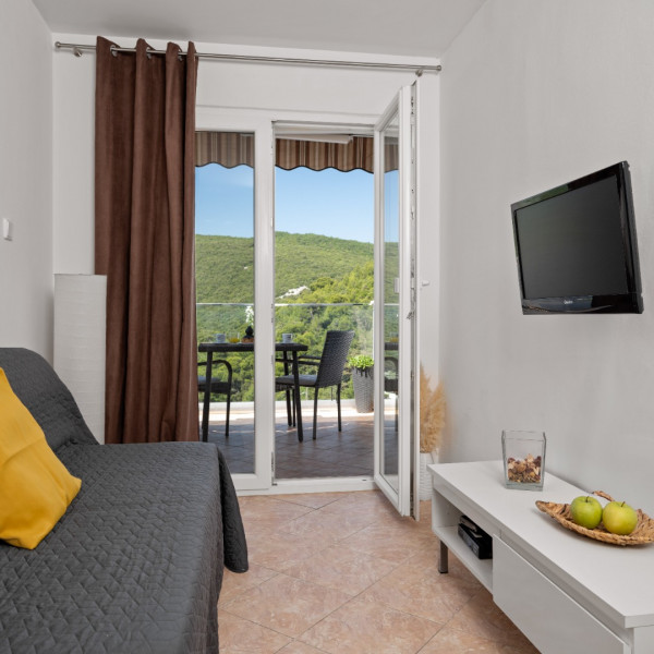 Soggiorno, APARTMAN LEONARDO  STAR (C1), Turistička agencija Luna Adriatica, Rabac - Istra (Hrvatska) Rabac