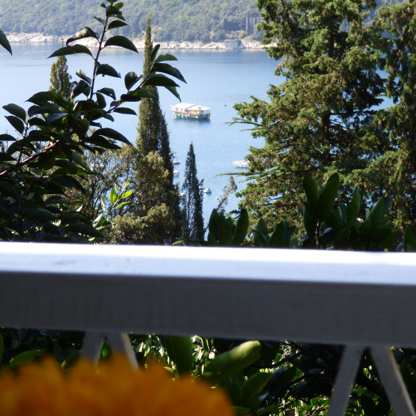 APARTMAN KLAUDIO, Turistička agencija Luna Adriatica, Rabac - Istra (Hrvatska) Rabac